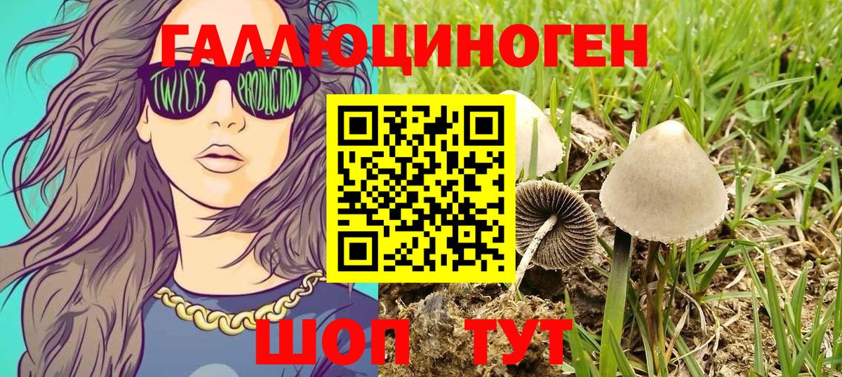 Галлюциногенные грибы прущие грибы Тулун